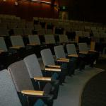 Woodland park zoo theater, all green foam and fabric 272 theater seats.